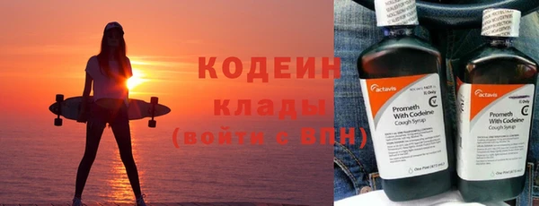 хмурый Алексин