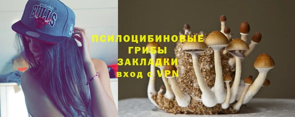 хмурый Алексин