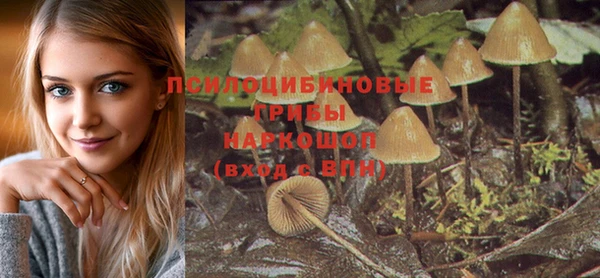 MESCALINE Новозыбков