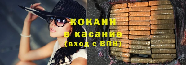 хмурый Алексин