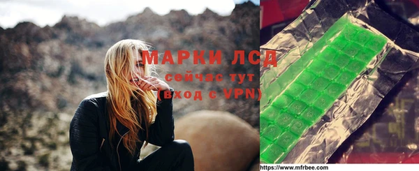 хмурый Алексин