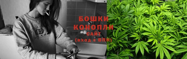 PSILOCYBIN Нязепетровск