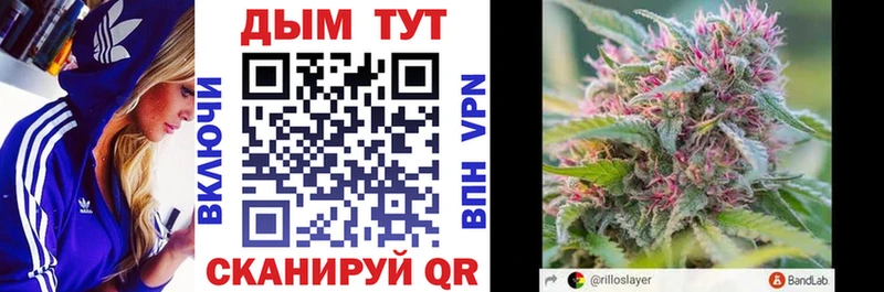 Конопля Bruce Banner  наркошоп  Россошь 